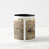 Mug Tortue - Sortie du cou (Centre)