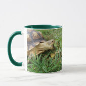 Mug Tortue Sulcata, bouche ouverte, pâturage en herbe (Gauche)