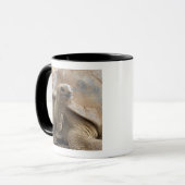Mug Tortue terrestre des Seychelles Aldabran (Devant gauche)