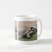 Mug tortues géantes (Devant droit)