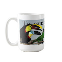 Toucans du monde