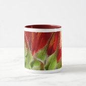 Mug Tournesol (Centre)