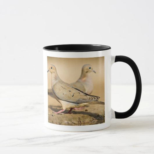 Mug Tourterelle triste (Droite)