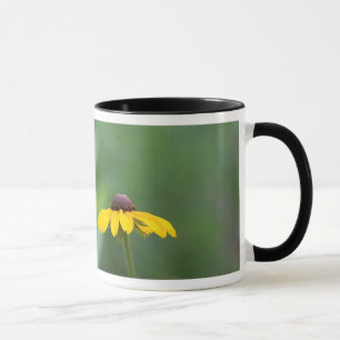 Mug tout clair
