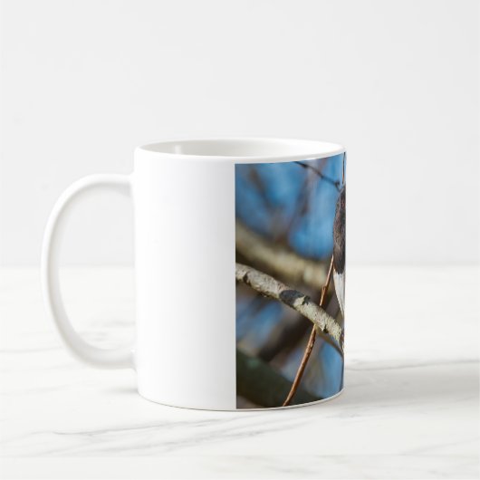 Mug Towhee tachetée (Gauche)