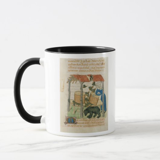 Mug Tractatus de Herbis' (Gauche)