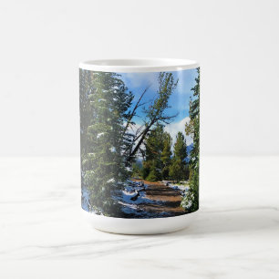 Mug Trail on Mount Howard