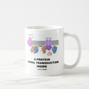 Mug Transduction de signal de G-Protéine à l'intérieur