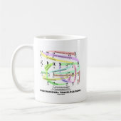 Mug Translocations chromosomiques (Karyogramme) (Gauche)