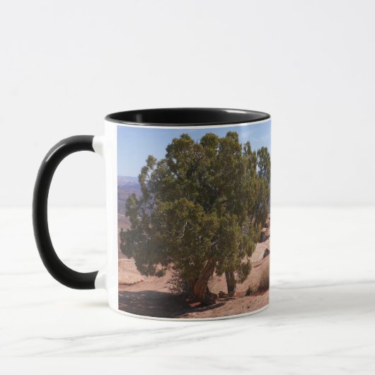 Mug Tree Out of Red Rocks II at Canyonlands (Gauche)