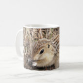 Mug Treize ont rayé l'écureuil moulu (Devant gauche)