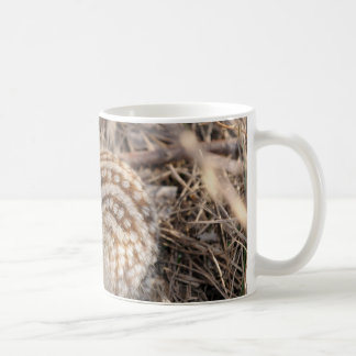 Mug Treize ont rayé l'écureuil moulu