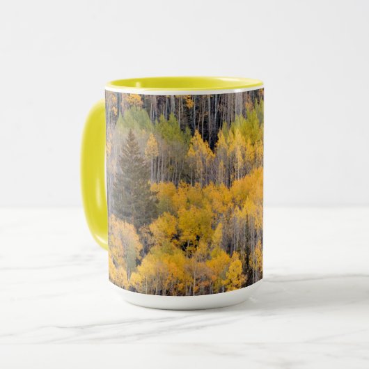 Mug Trembles | Forêt nationale de White River (Devant gauche)