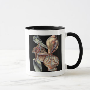 Mug Trésors de la mer