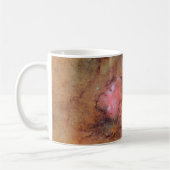 Mug Trifid and Lagoon Nebulae (Gauche)