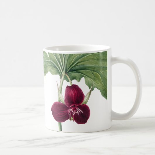 Mug Trillium Botanical (Droite)
