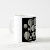 Mug Trilobite ! (Devant gauche)
