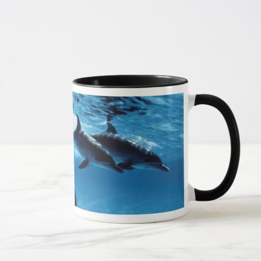 Mug Trio de dauphins (Droite)