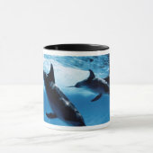 Mug Trio de Dolphins (Centre)