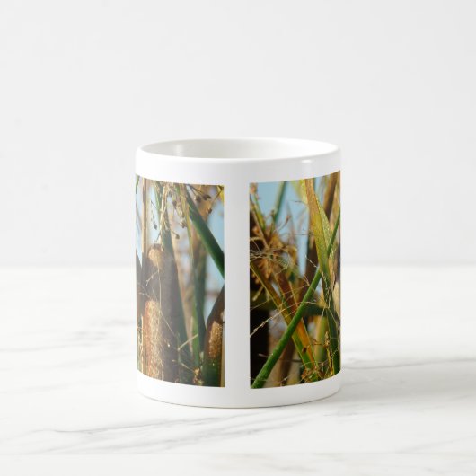 Mug Troglodyte des marais B3 (Centre)