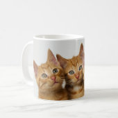 Mug Trois chatons mignons de gingembre côte à côte (Devant gauche)