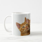 Mug Trois chatons mignons de gingembre côte à côte (Gauche)