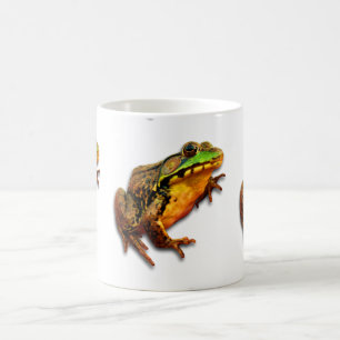 Mug Trois grosses grenouilles taureaux