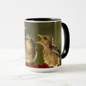 Mug Trois oiseaux de Schach de Lanius de bébé (Devant droit)