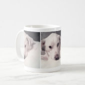 Mug Trois photos d'un joli chien blanc (Devant gauche)