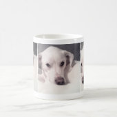 Mug Trois photos d'un joli chien blanc (Centre)