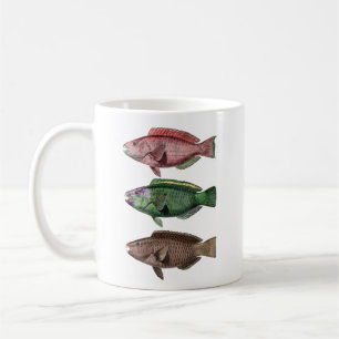 Mug Trois poissons, Perroquet, Musique
