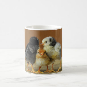 Mug Trois poussins de bébé