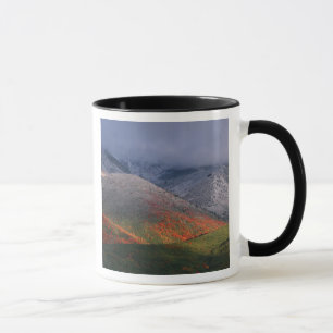 Mug Trois saisons de feuillage, érables rouges et auto