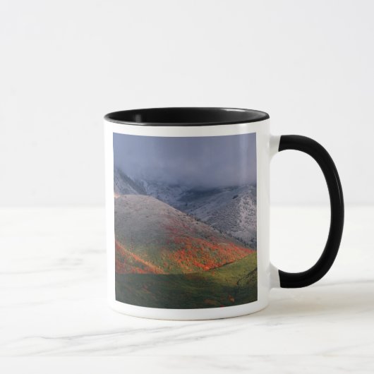 Mug Trois saisons de feuillage, érables rouges et auto (Droite)