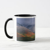 Mug Trois saisons de feuillage, érables rouges et auto (Gauche)