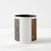 Mug troncs de Séquoia géant en forêt, Yosemite (Centre)