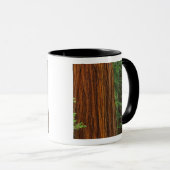 Mug troncs de Séquoia géant en forêt, Yosemite (Devant droit)