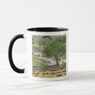 Mug Troupeau massif de gnous pendant la migration,