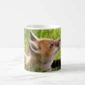 Mug Trousse Red Fox (Centre)