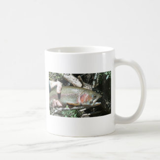 Mug Truite arc-en-ciel