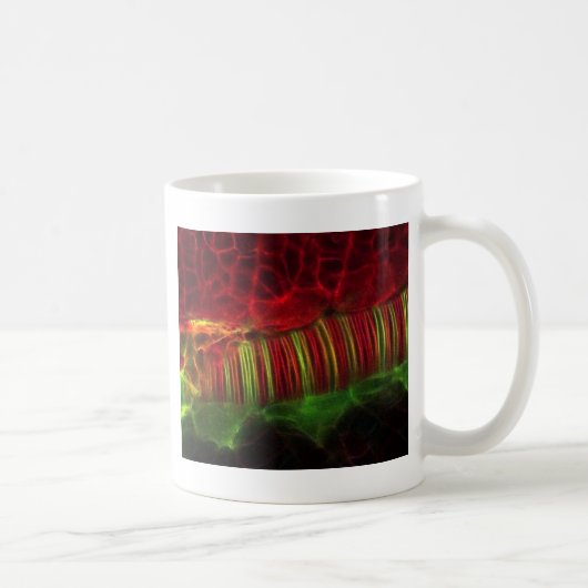 Mug Tube neural (Droite)
