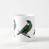 Mug Tui New Zealands Bird (Centre)