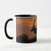 Mug Tule Elk | Point Reyes National Seashore (Gauche)