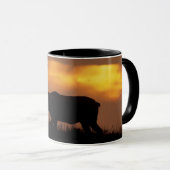 Mug Tule Elk | Point Reyes National Seashore (Devant droit)