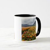 Mug Tulip Farm près d'Agassiz, Colombie-Britannique, (Devant droit)