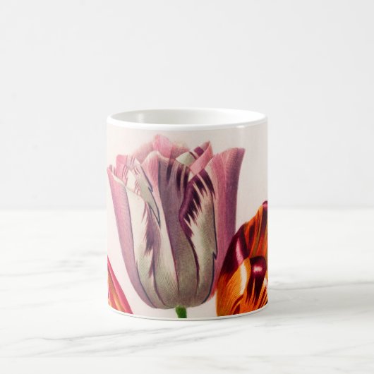 Mug Tulip vintage illustré (Centre)