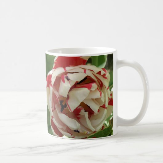 Mug Tulipe rose et blanc (Droite)
