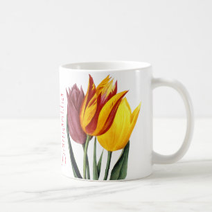 Mug Tulipe (Tulipa Gesneriana)