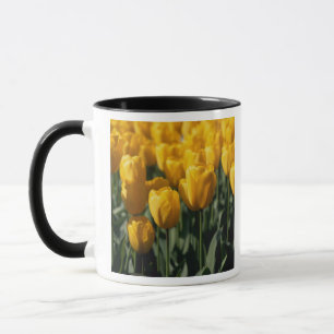 Mug Tulipes 3