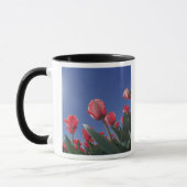 Mug Tulipes rouges sous un angle très bas, Cincinnati, (Gauche)